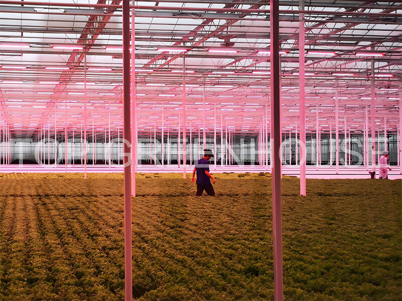 Artificial-Light-System