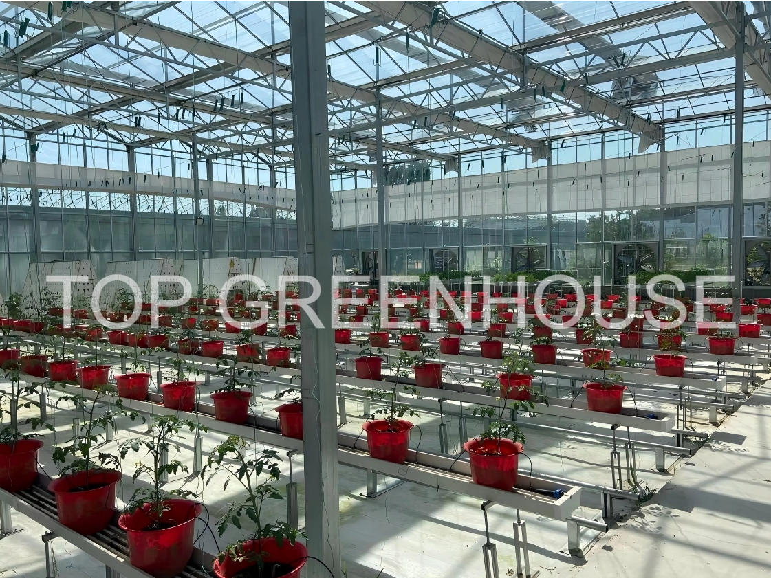 Top 8 Climate Screen Manufacturers in Europe