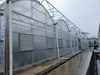Roof Large Ventilation for Plastic Greenhouse Solution