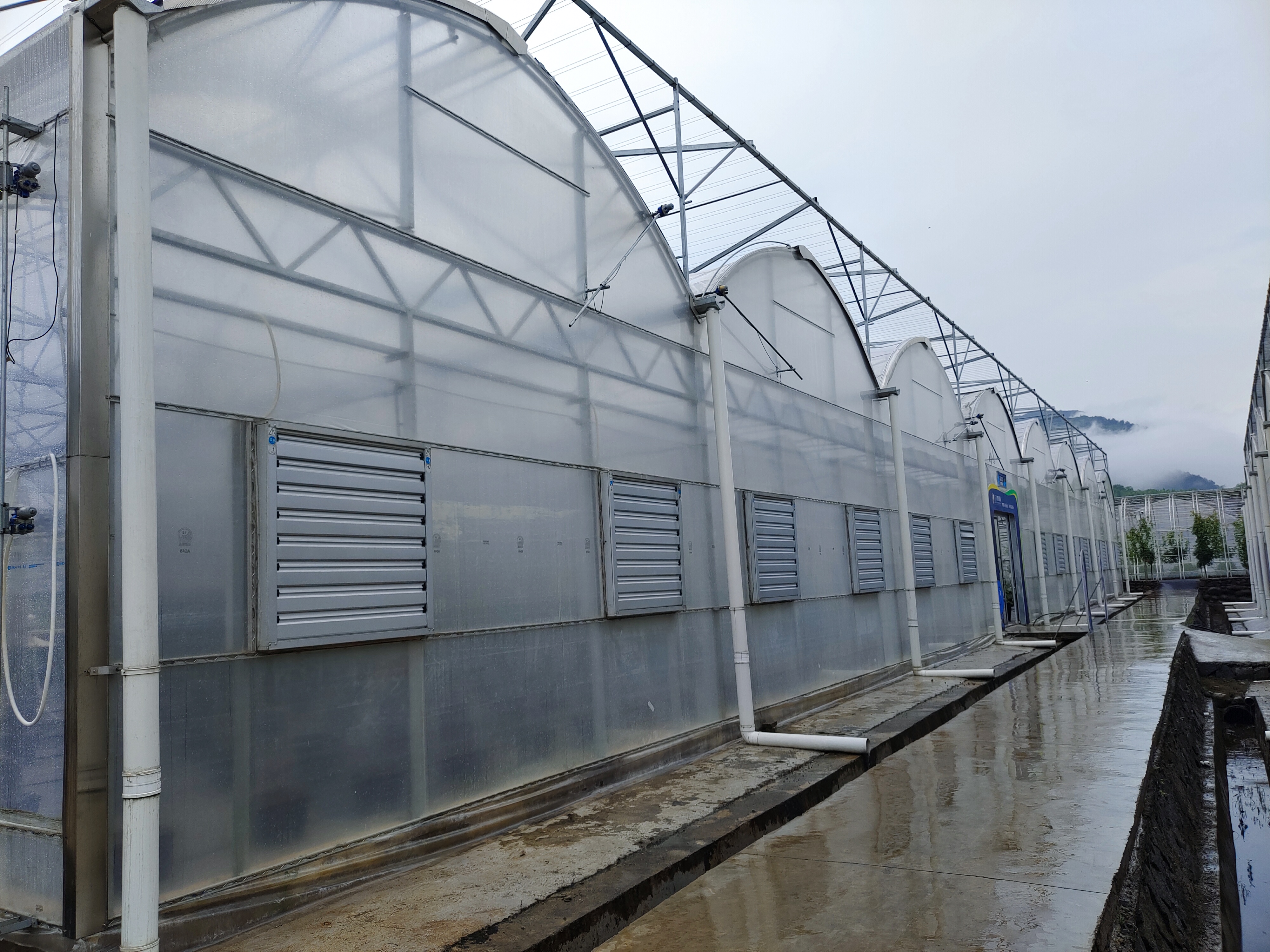 Roof Large Ventilation for Plastic Greenhouse Solution