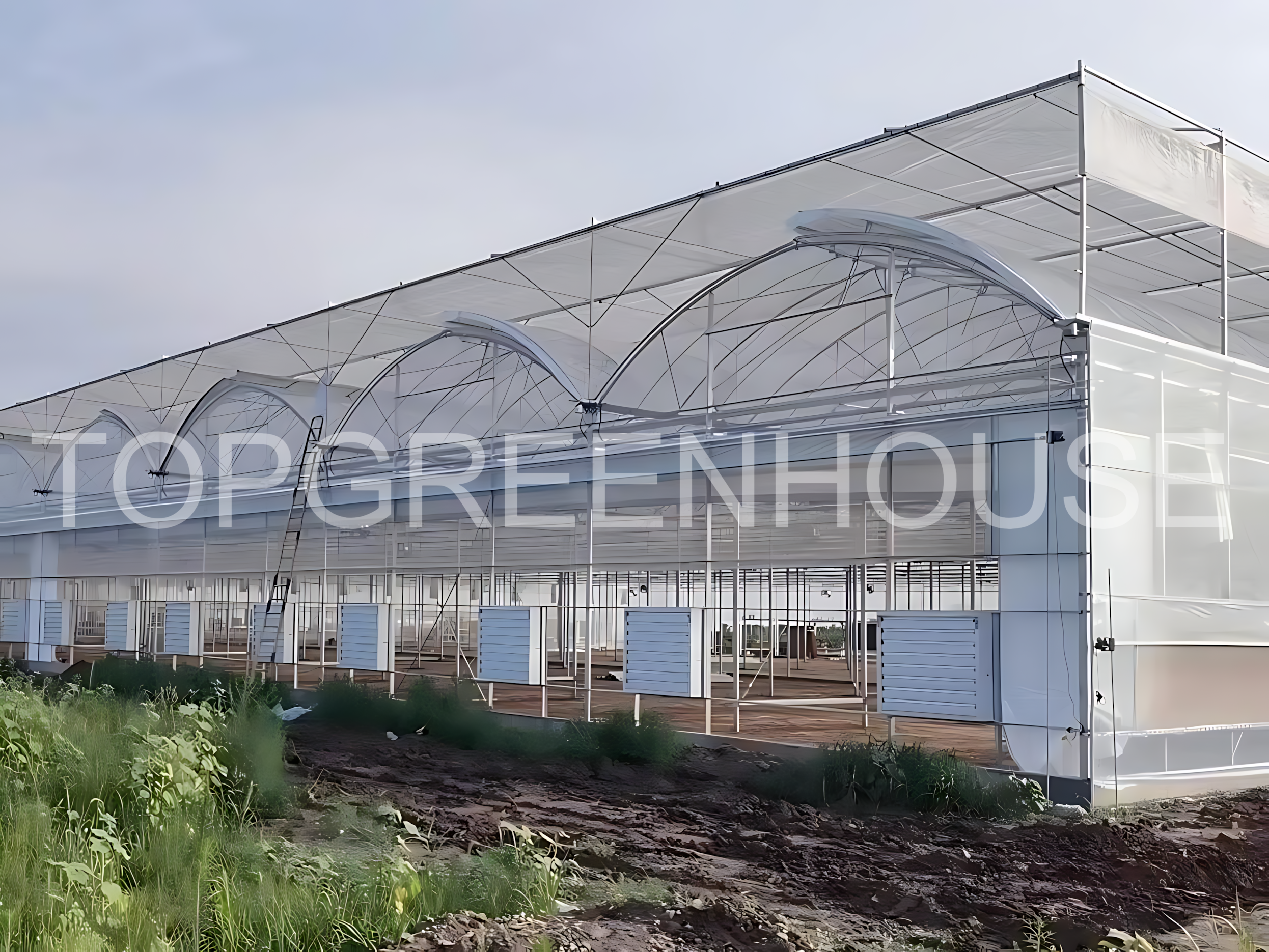 High-tech Commercial Plastic Greenhouse 