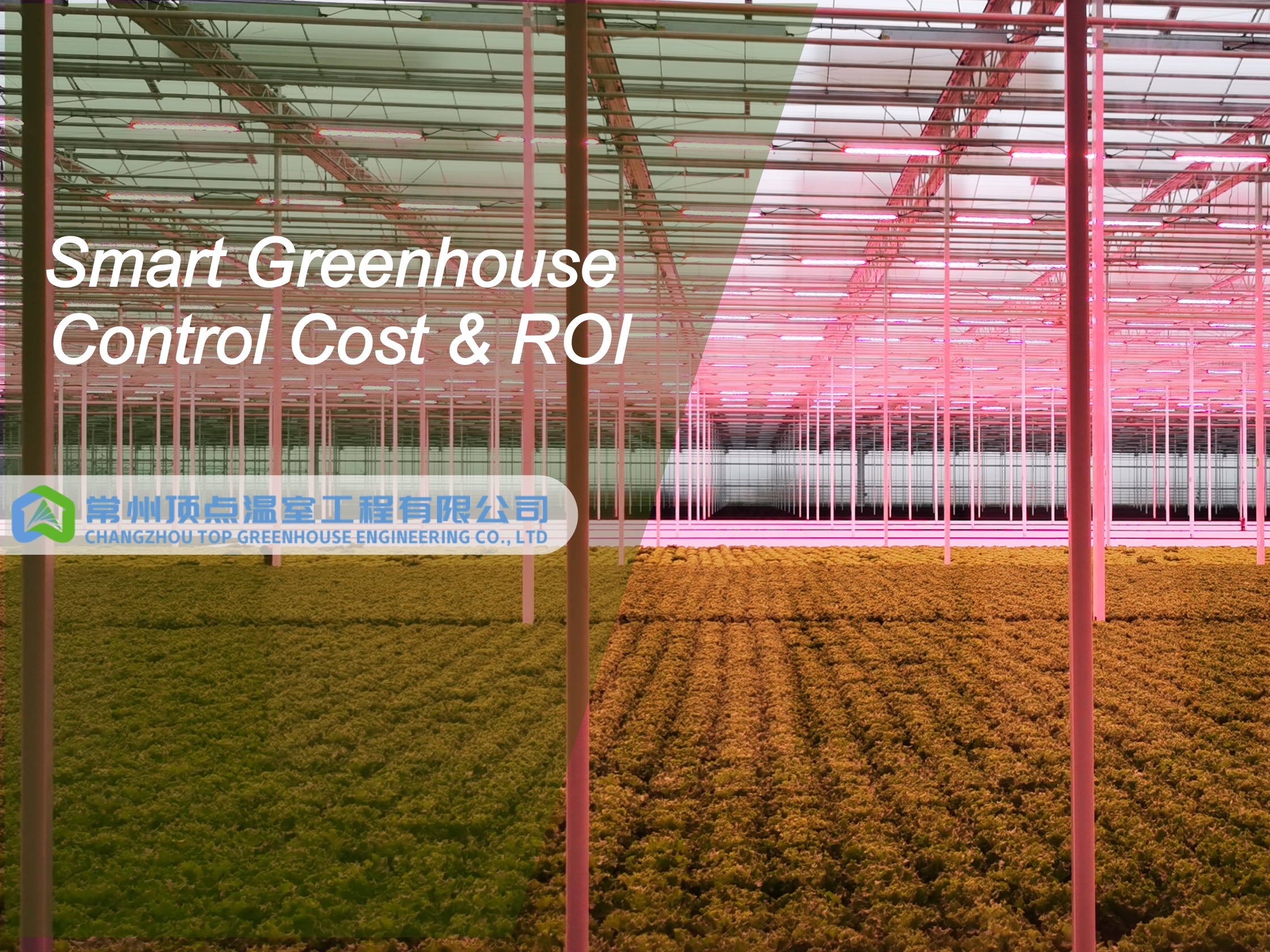 Smart Greenhouse Control Cost & ROI
