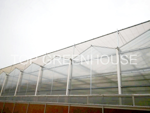Clear Polycarbonate Greenhouse