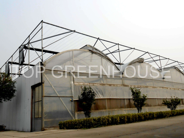 Greenhouse Shading Net