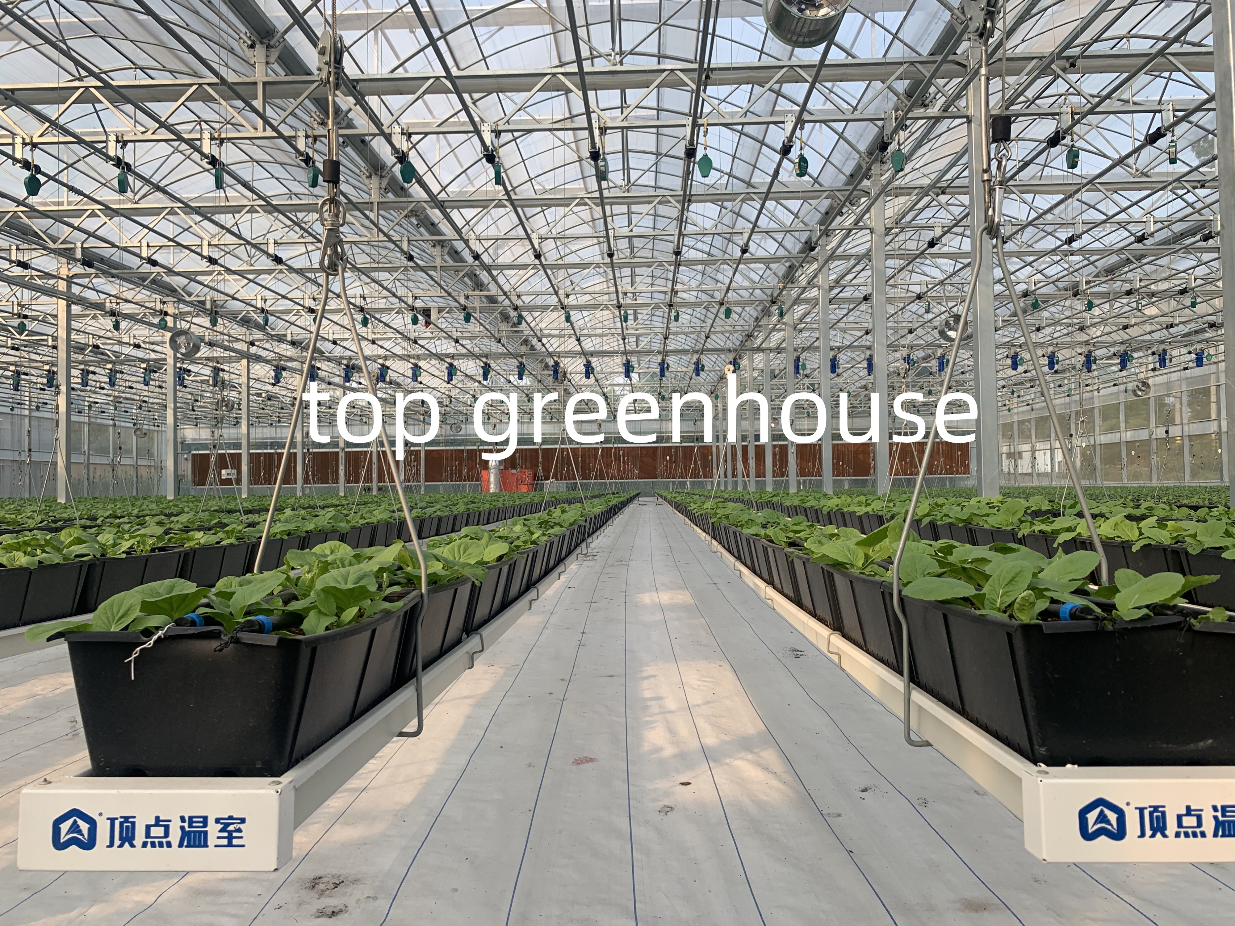 plastic greenhouse-3