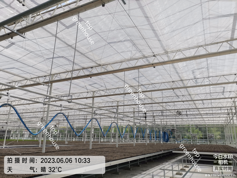 Greenhouse Intelligent Mobile Sprinkler For Irrigation 