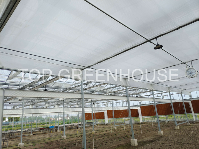 High Breathability White Shade Netting For Glass Greenhouse