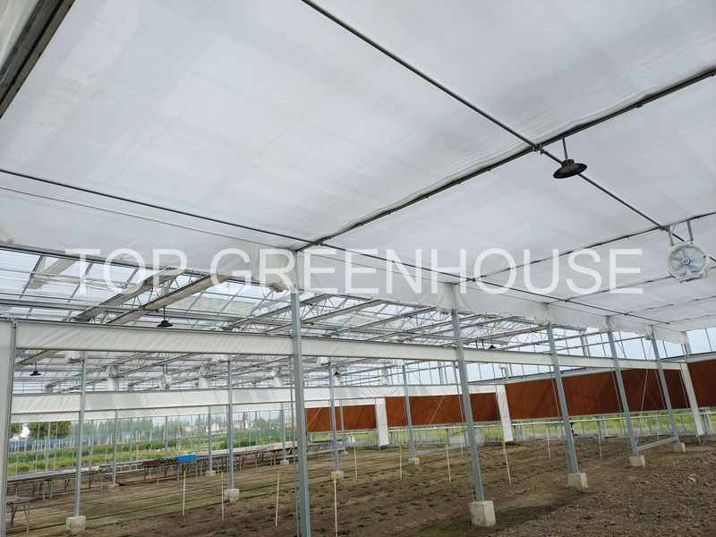 High Breathability White Shade Netting For Glass Greenhouse