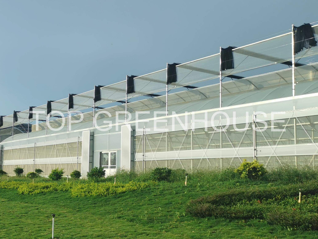 External Black Screen For Greenhouse