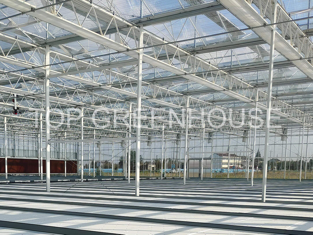 Transparent Energy-saving Screen Shade Netting For Greenhouse