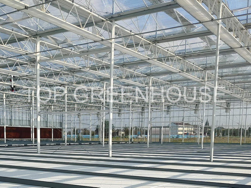 Transparent Energy-saving Screen Shade Netting For Greenhouse