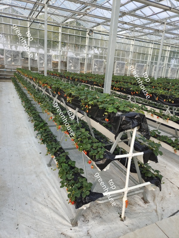 greenhouse landscape fabric for ground cover