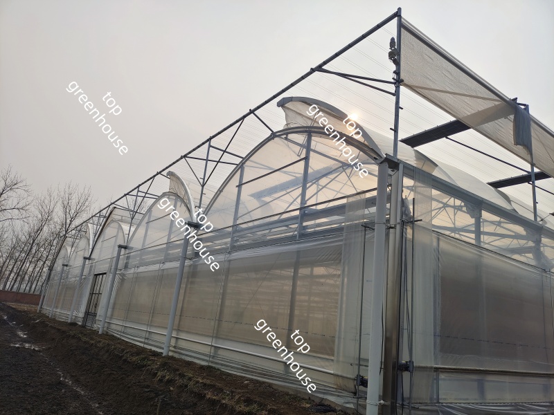 greenhouse electric film reeler
