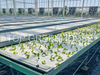 Greenhouse Ebb And Flow Rolling Bench for Growing Plants
