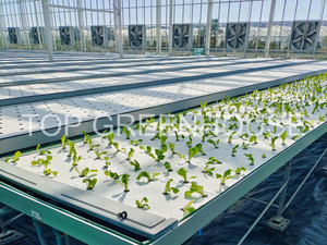 Flood Bench with Drain for Hydroponic Greenhouse