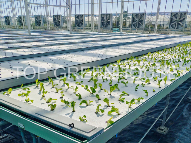 Flood Bench with Drain for Hydroponic Greenhouse