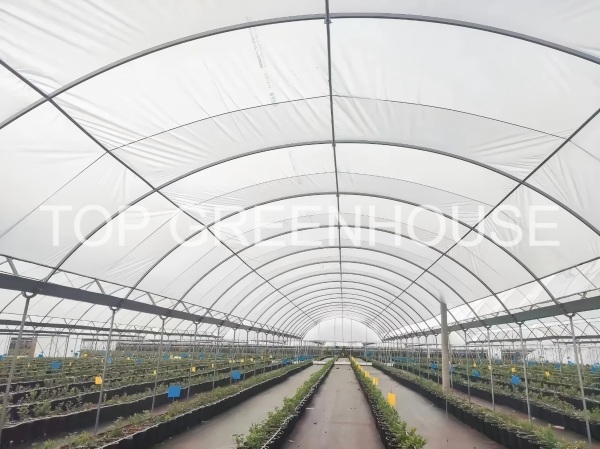 blueberry shade netting
