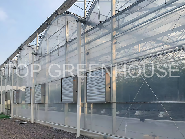 Multispan Poly Tunnel Greenhouse