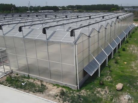High Quality Polycarbonate Greenhouses for Reliable Growing