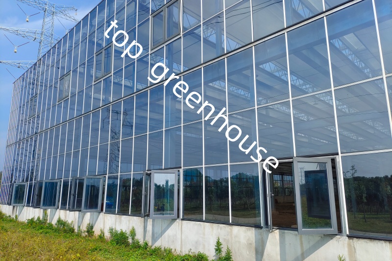 Commercial Glass Greenhouse