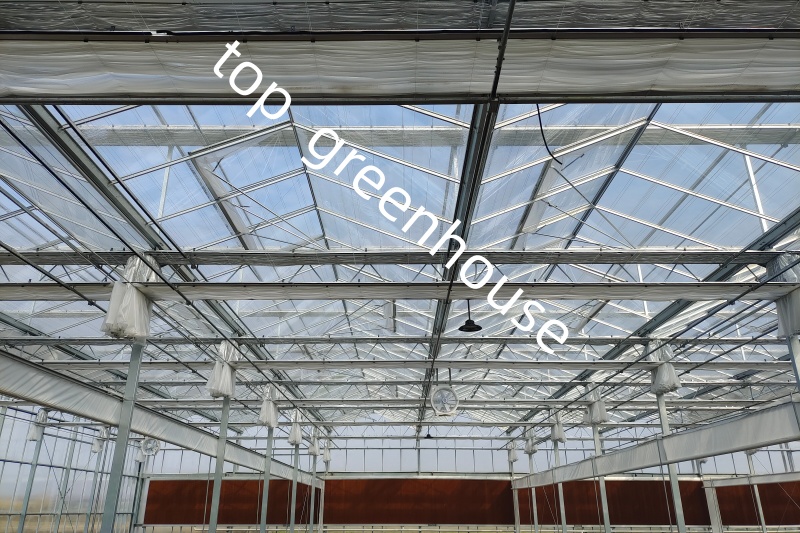 Commercial Greenhouse