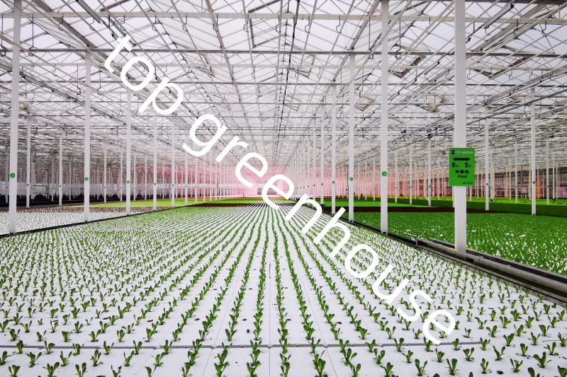high efficiency greenhouse