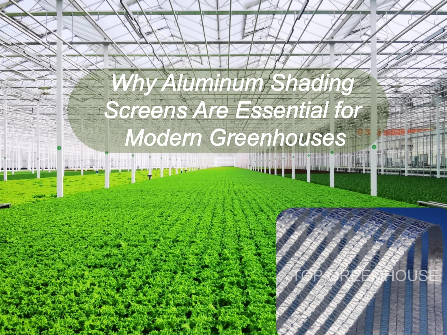 Why Aluminum Shading Screens Are Essential for Modern Greenhouses
