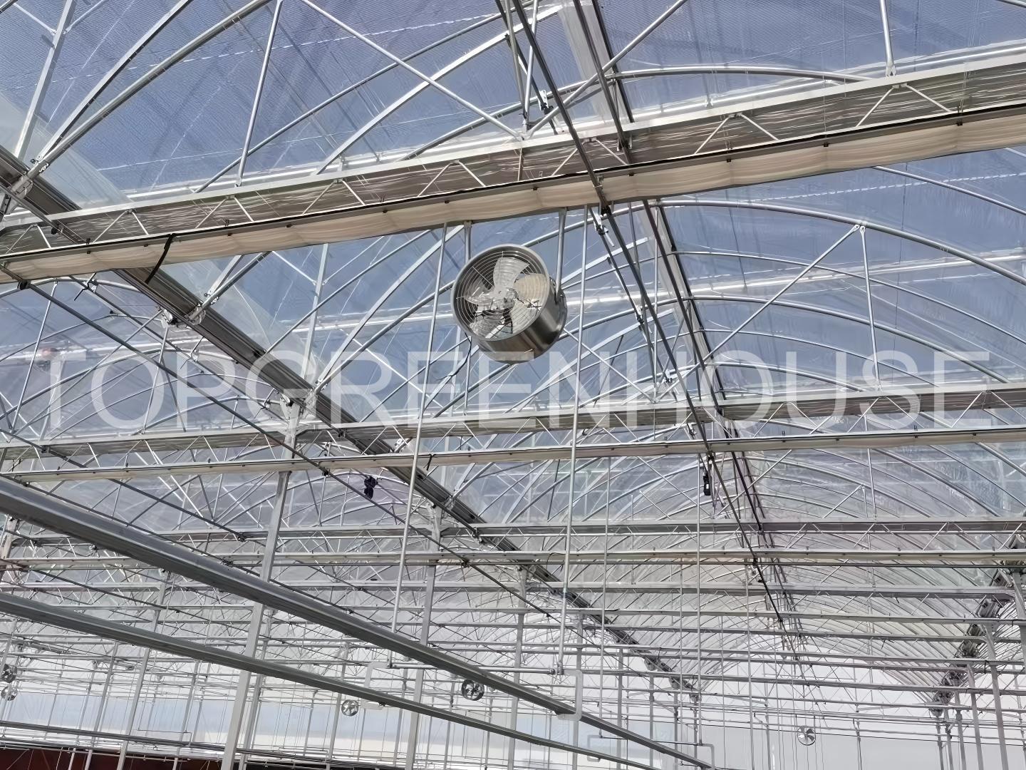 Plastic Greenhouse