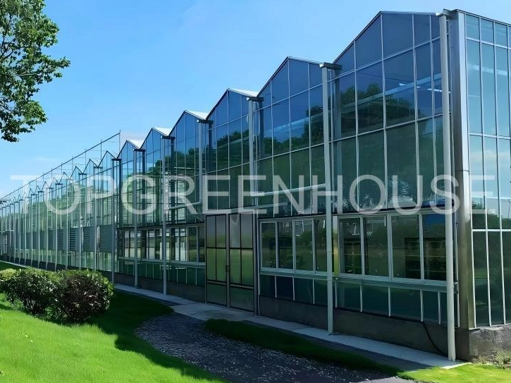 Which Greenhouse Is Right for Your Crop? 