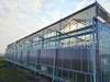 Venlo Glass Greenhouse