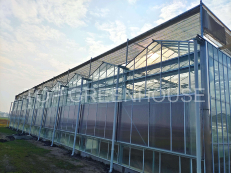 Venlo Glass Greenhouse