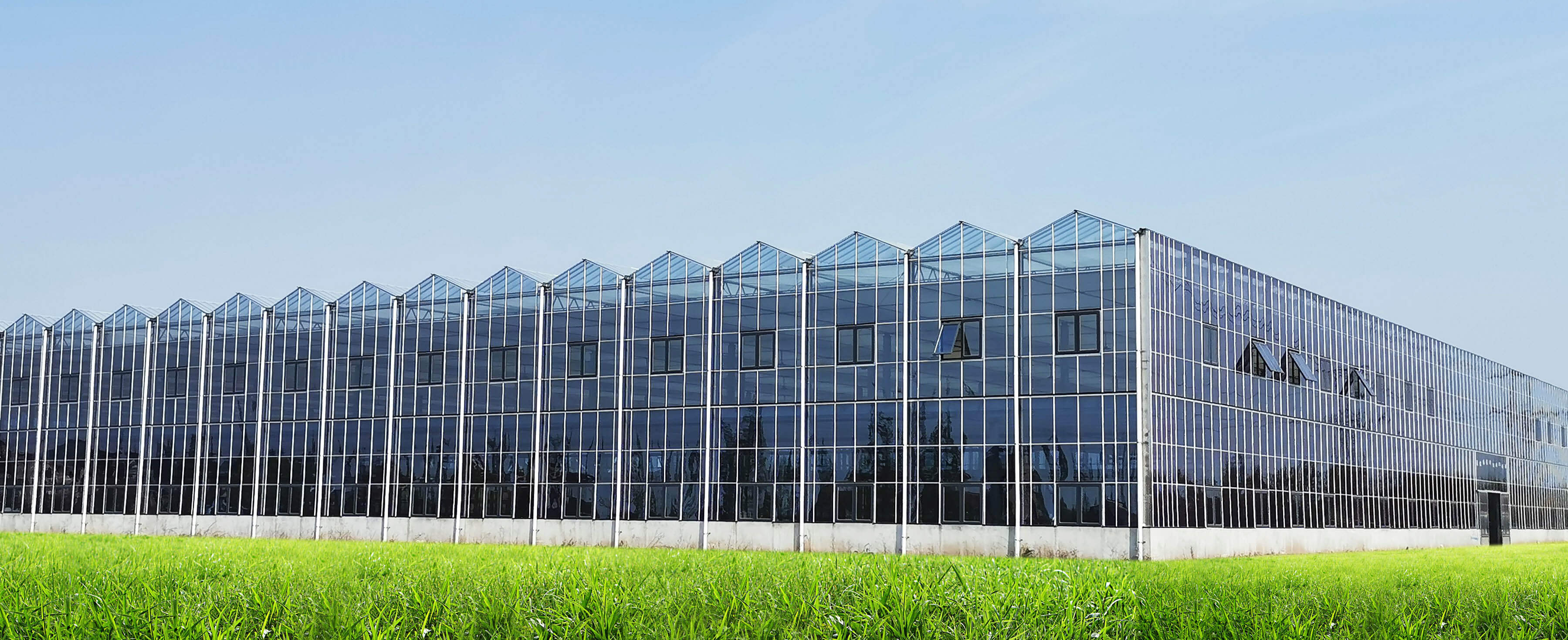 greenhouse manufacturer
