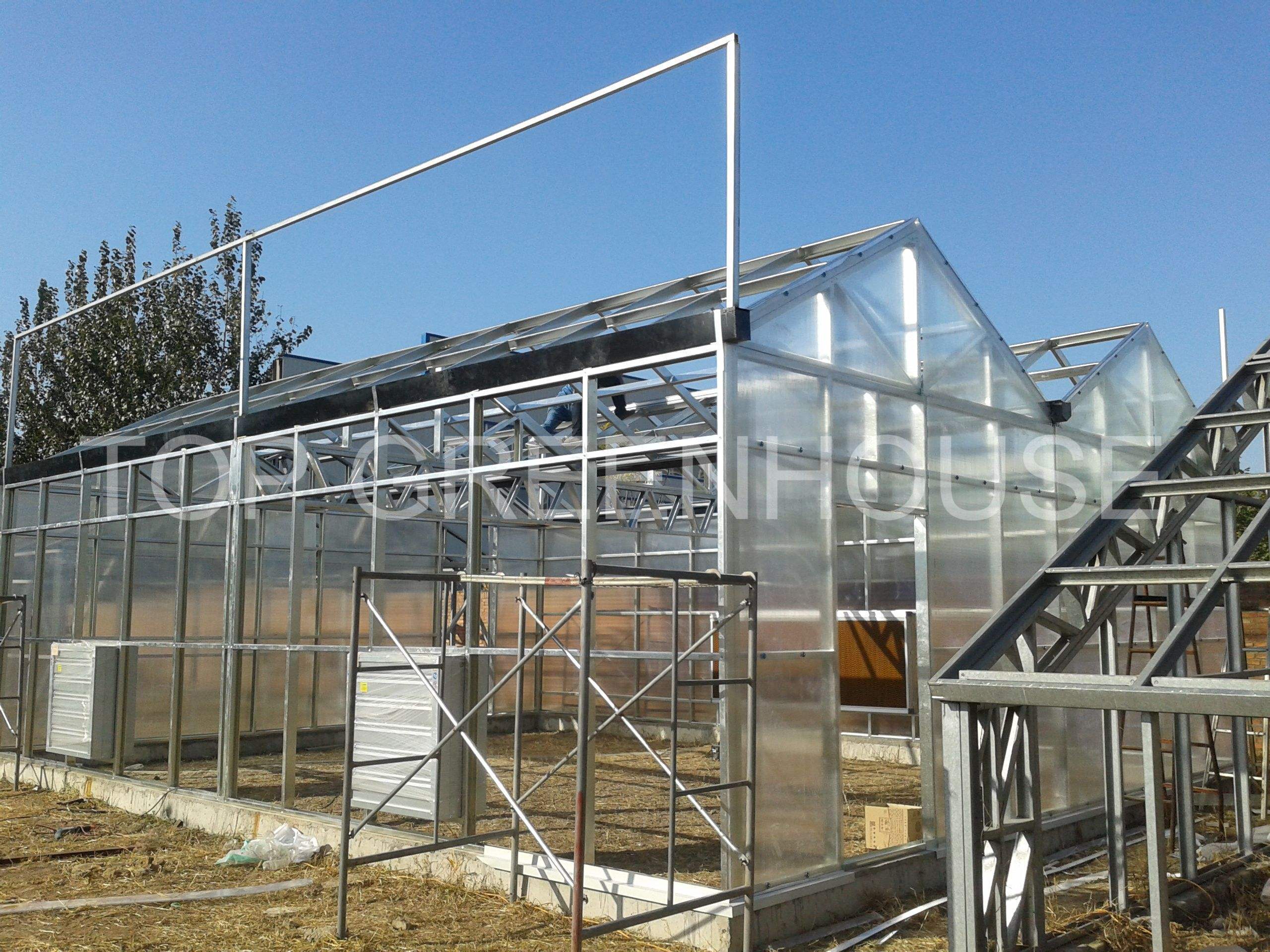 Polycarbonate Greenhouse