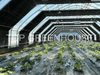 Blackout Screen For Light Deprivation Greenhouse