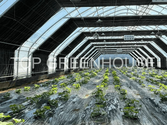 Blackout Screen For Light Deprivation Greenhouse