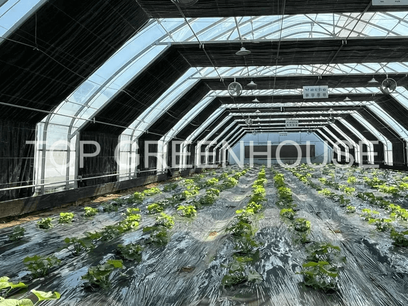 Blackout Screen For Light Deprivation Greenhouse