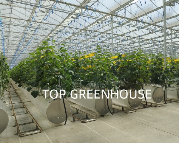 climate screen