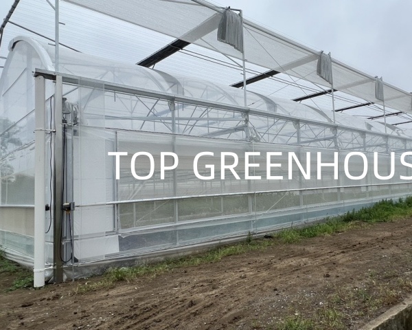 Greenhouse Insect Net