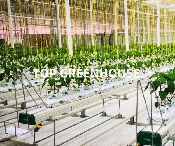 Greenhouse Climate Screen