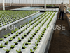 Greenhouse Ebb And Flow Rolling Bench for Growing Plants
