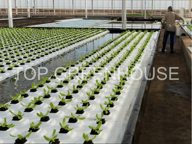 Hydroponic Seedbed Flood Bench Ebb Flow Bench for Greenhouse