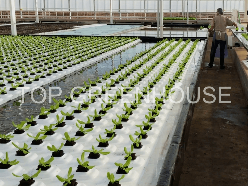 Hydroponic Seedbed Flood Bench Ebb Flow Bench for Greenhouse