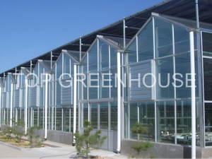 External Black Shade Netting For Greenhouse