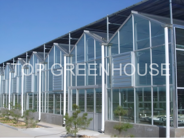 External Black Shade Netting For Greenhouse