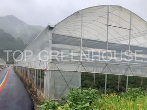Plastic Greenhouse with PO Film