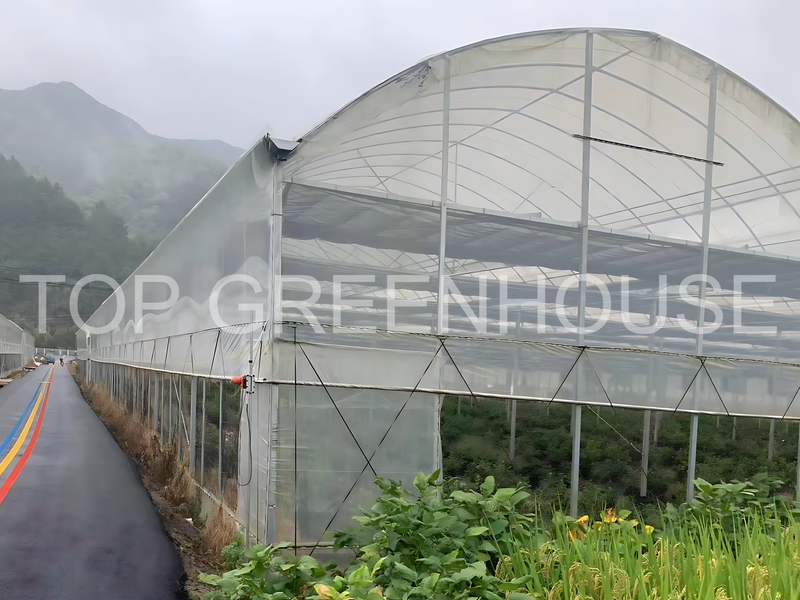 Plastic Greenhouse with PO Film