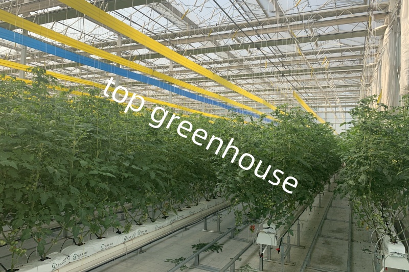 farming greenhouse