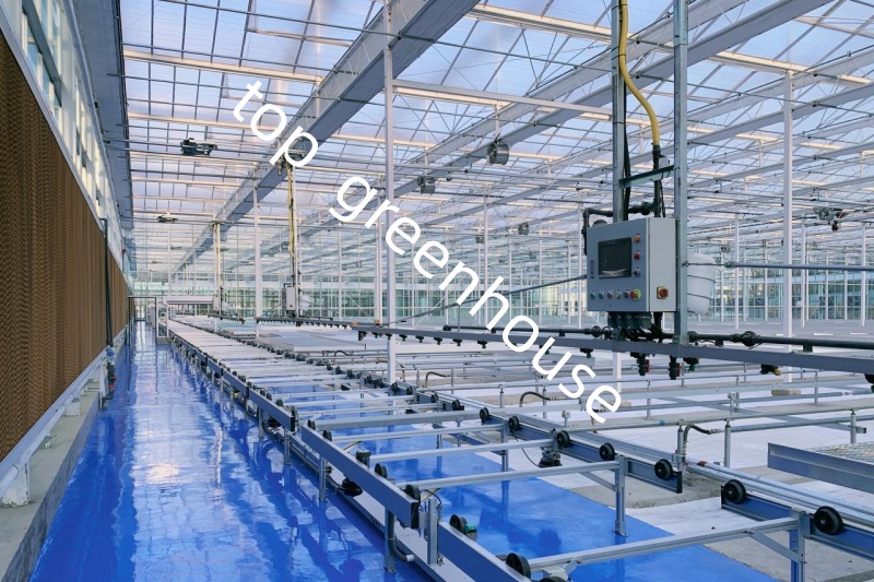 high tech glass greenhouse