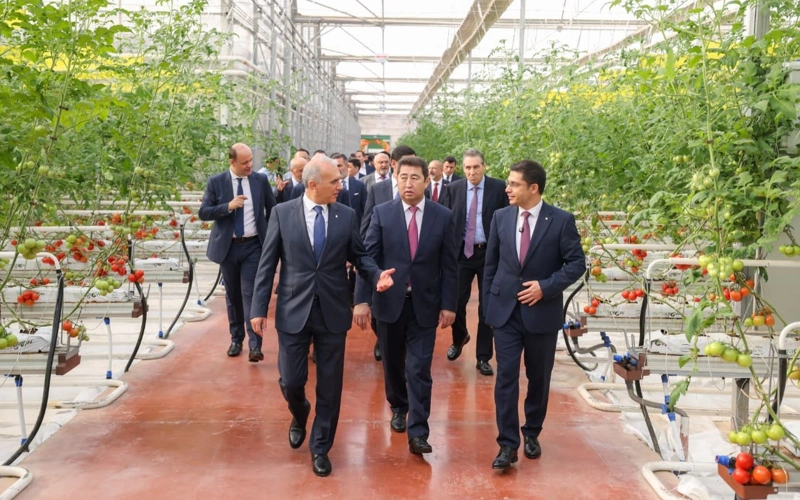 central Asia greenhouse project