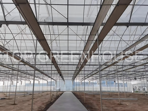 Plastic Commercial Greenhouse 
